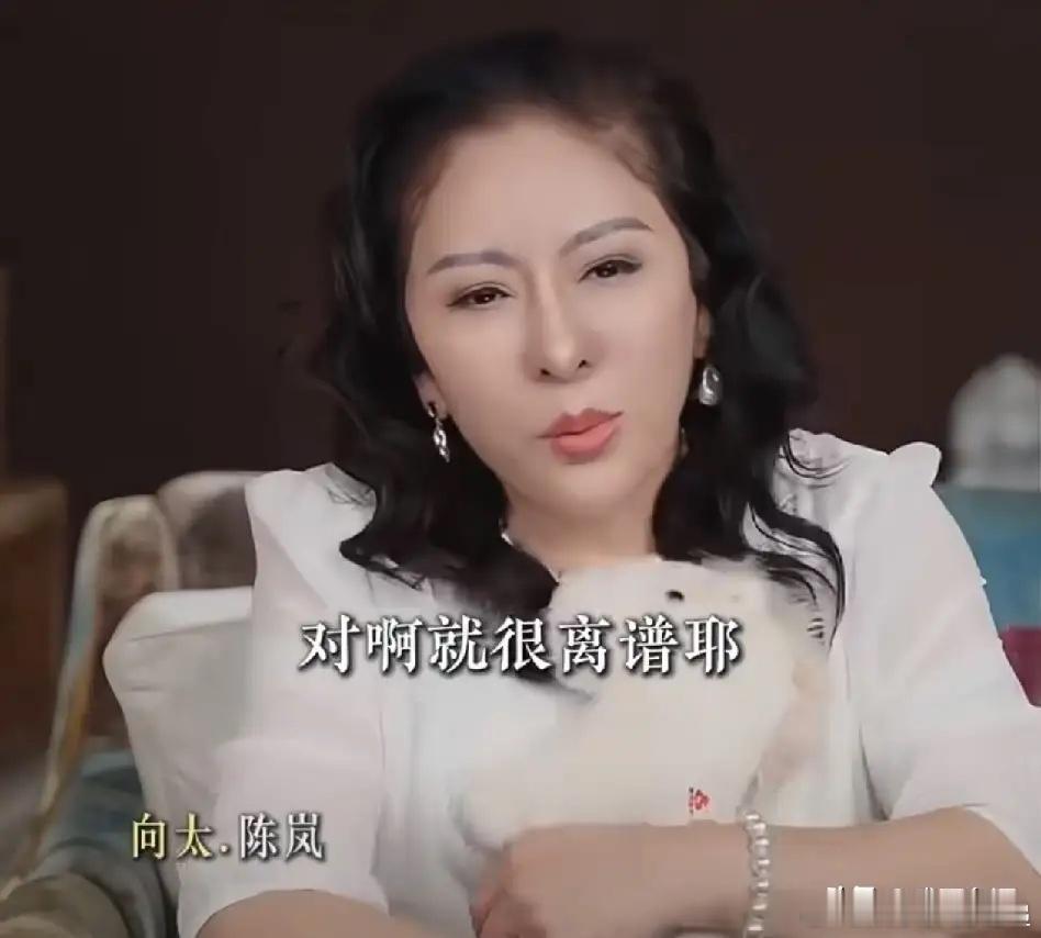向太，引发热议！7月9日深夜，向太连夜冲上热搜，原因是她称LV起诉太离谱，甚至曝