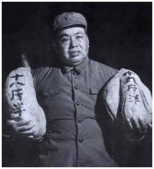 1959年，王耀武从功德林出来后就去拜访许世友将军，然而许世友坚决不见他，哪怕是