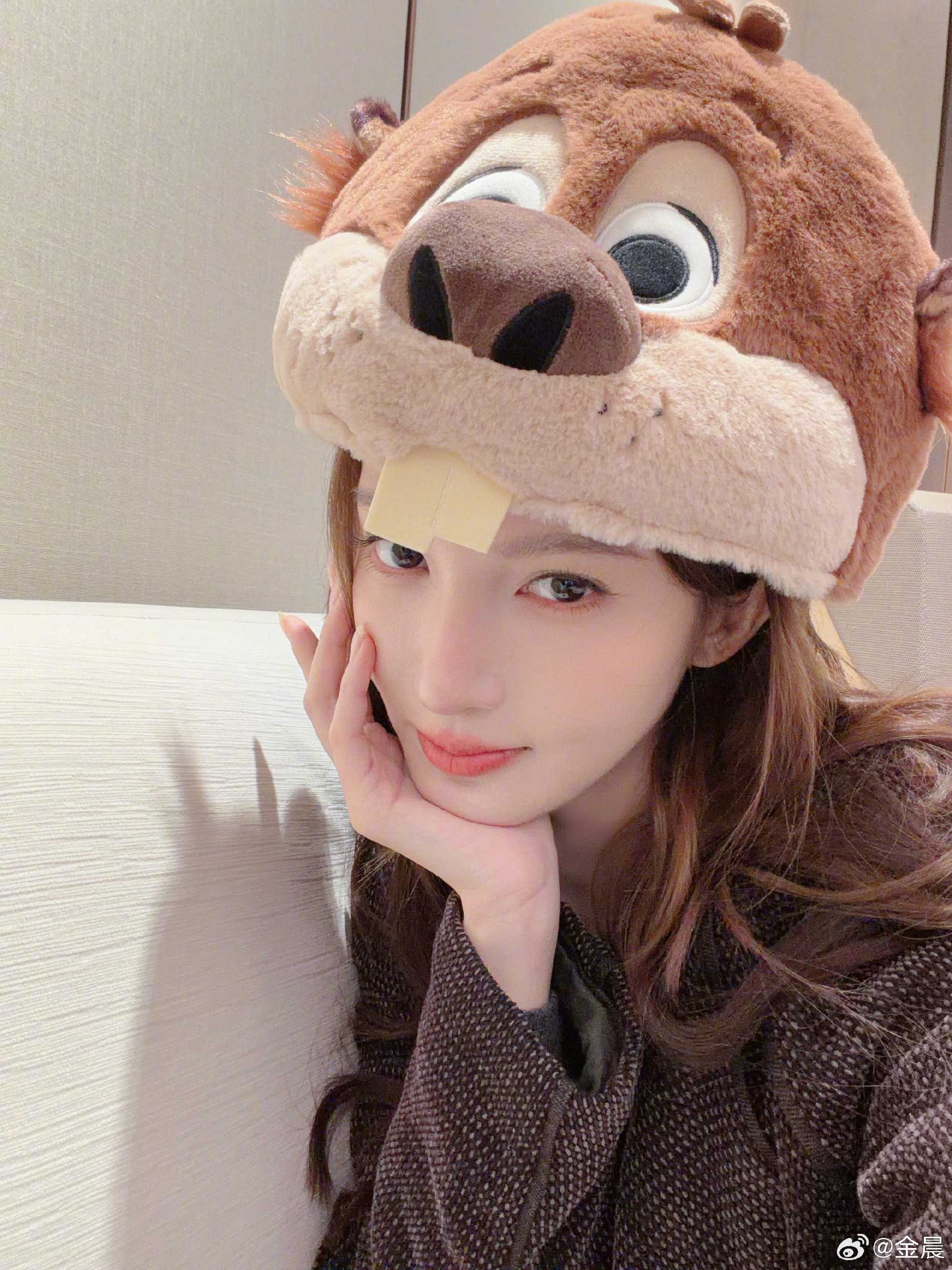 金晨是可爱的狸宝耶