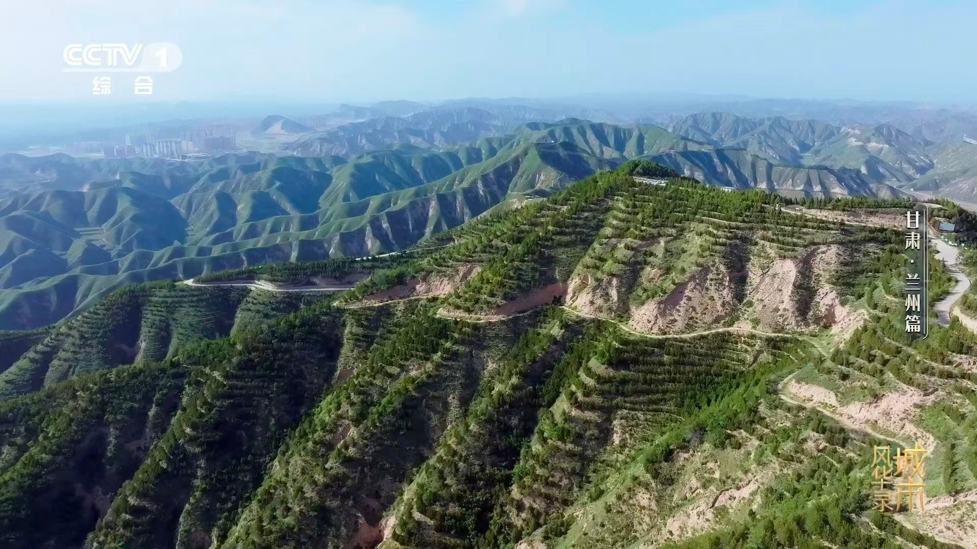 兰州人70年种活了1.6亿棵树 现在的绿水青山，真的不是天上掉下来的。是有人背着