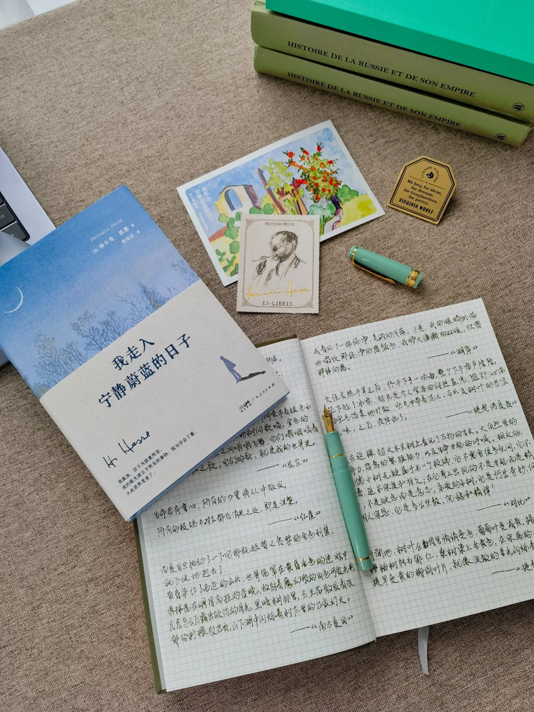 不愧是黑塞呀！恨不得每句话都摘抄下来❗
