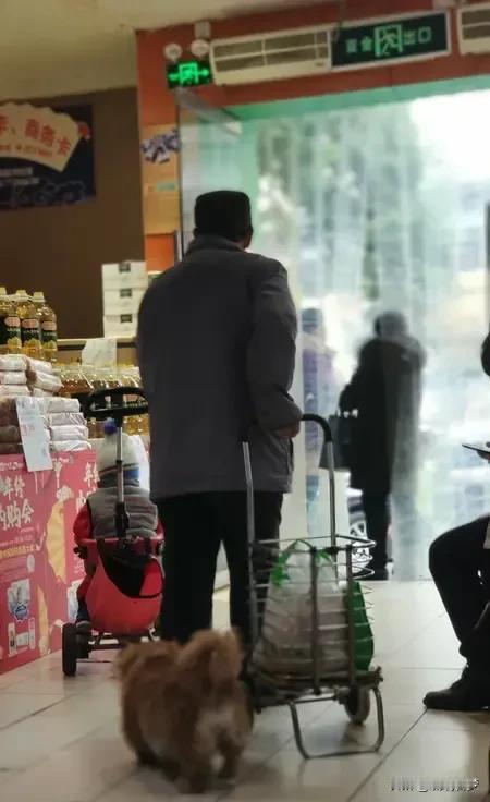 出门自带家伙事，遇到让狗进餐厅超市的直接录证据，要求仅退款！

安徽蚌埠那位律师