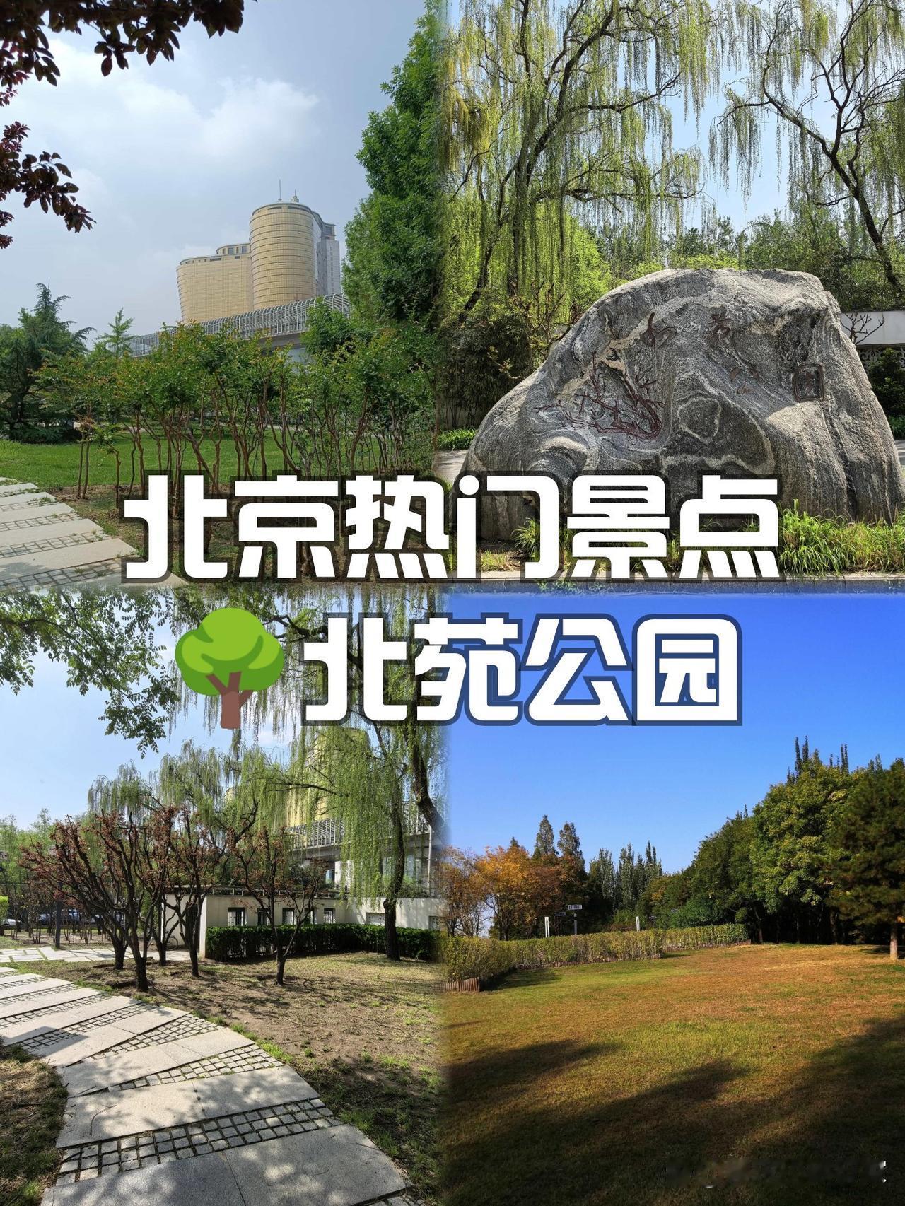 🌿北苑公园｜城市绿洲里的森系玩法

姐妹们！发现了一个藏在市区的天然氧🌳，人