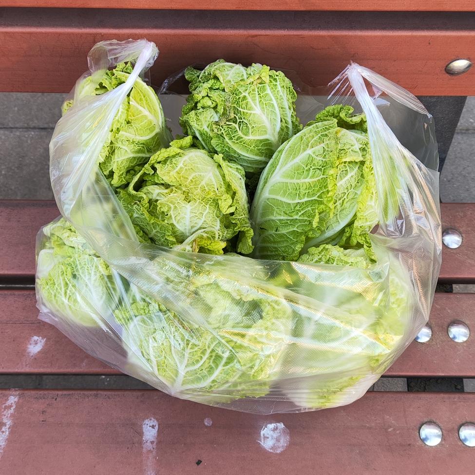 妈妈是无法在赚钱和陪伴孩子，又要搞好家庭，这些事情上都做好的……

一天中时间是