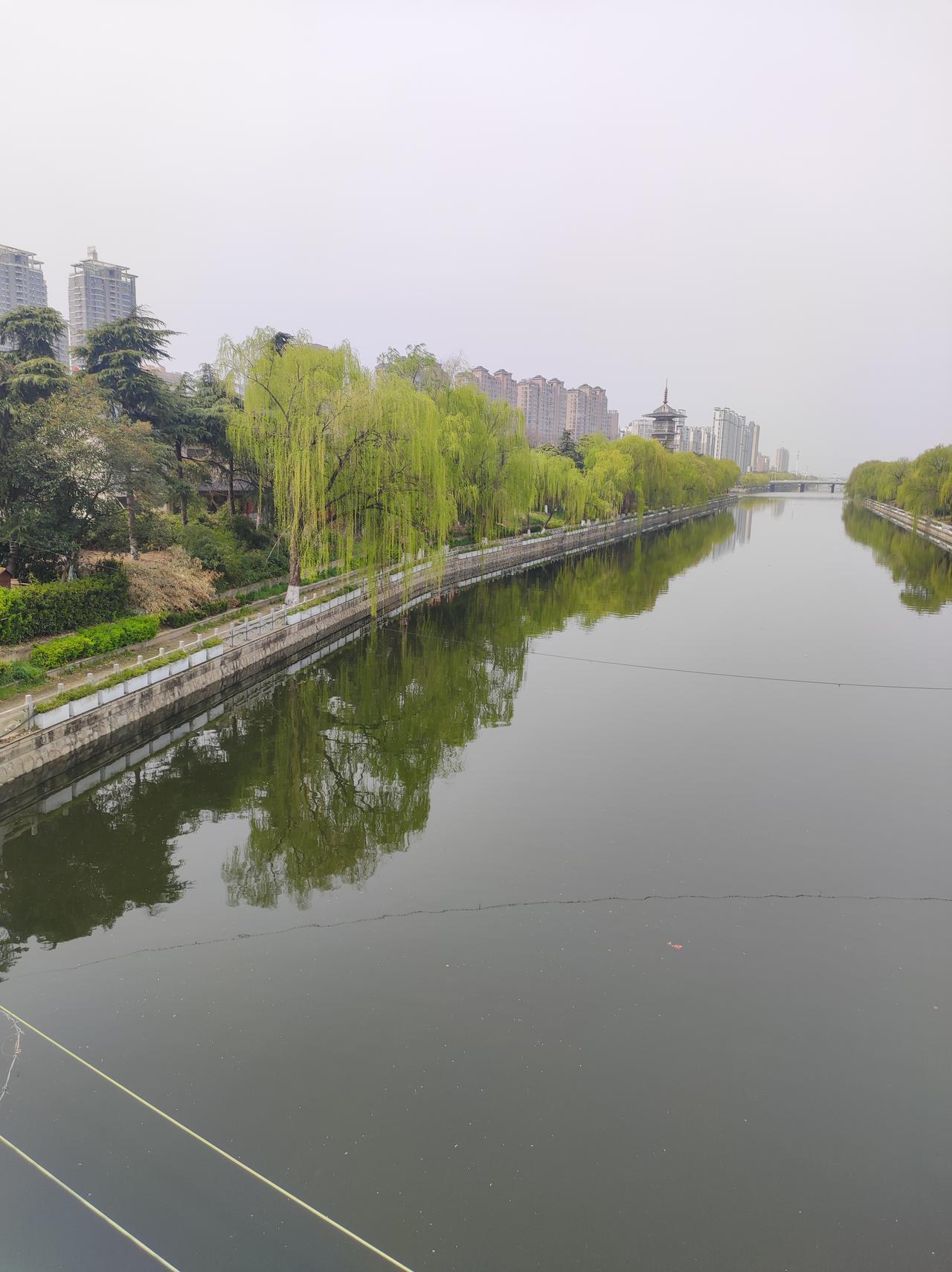 今天是回到老家的第三天了！
趋阳光明媚出去走走！
堤坝上的柳树已吐出嫩黄色的新绿