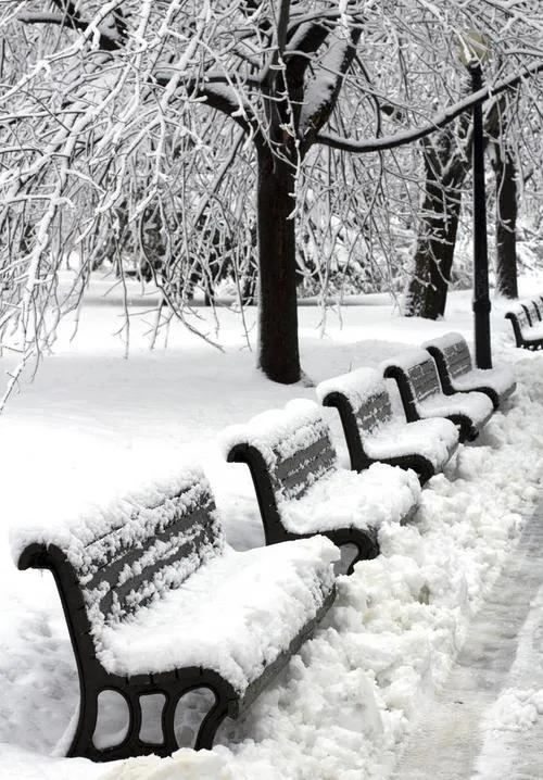 坐标乌鲁木齐，今天是12月10号，纷纷扬扬的大雪又下了一天。断断续续已经两天了，