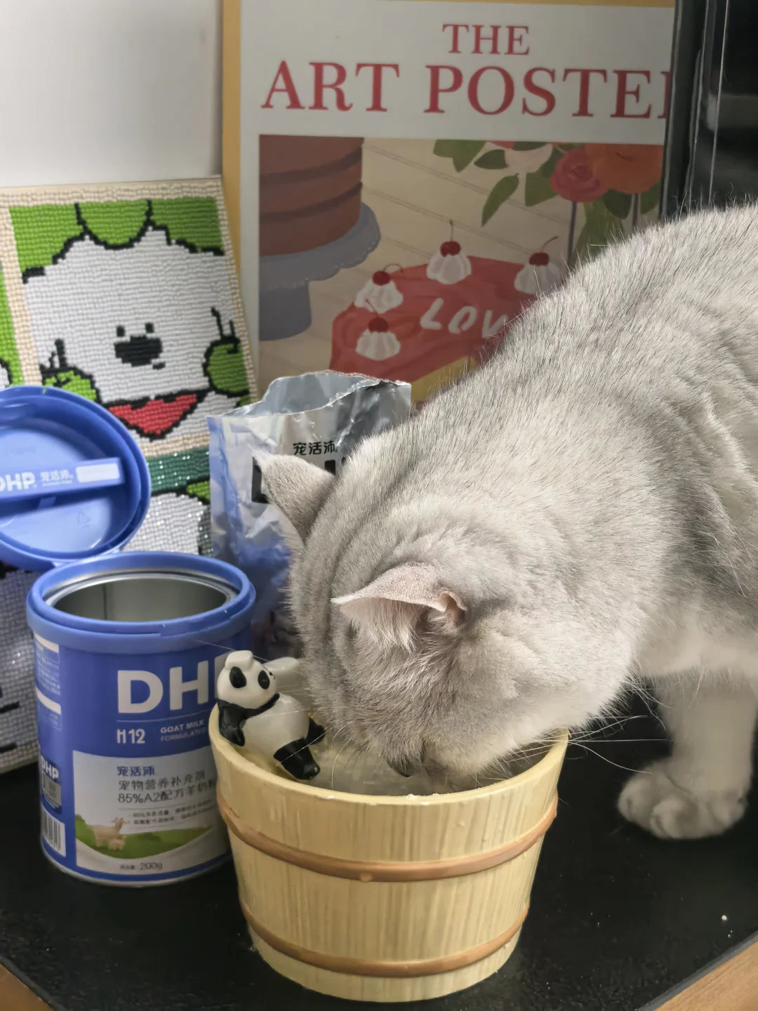骗猫喝水，一招就够了