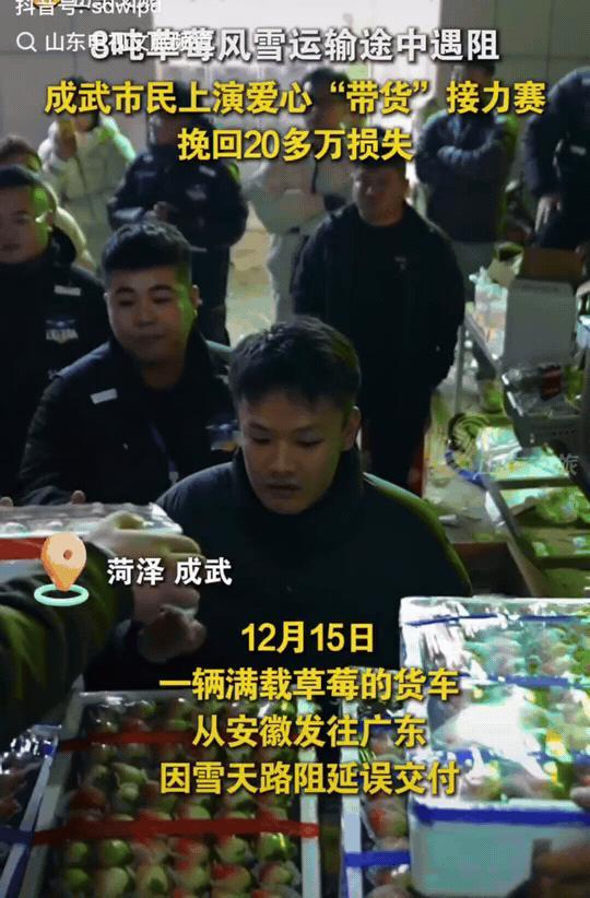 感动！山东成武县，一车滞销的草莓，我们看到了这座小城的温暖。8吨草莓，2400多