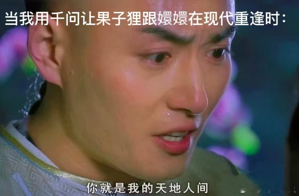 果郡王14年来还在追查真相追查什么真相嘞，感觉没看过这段一样