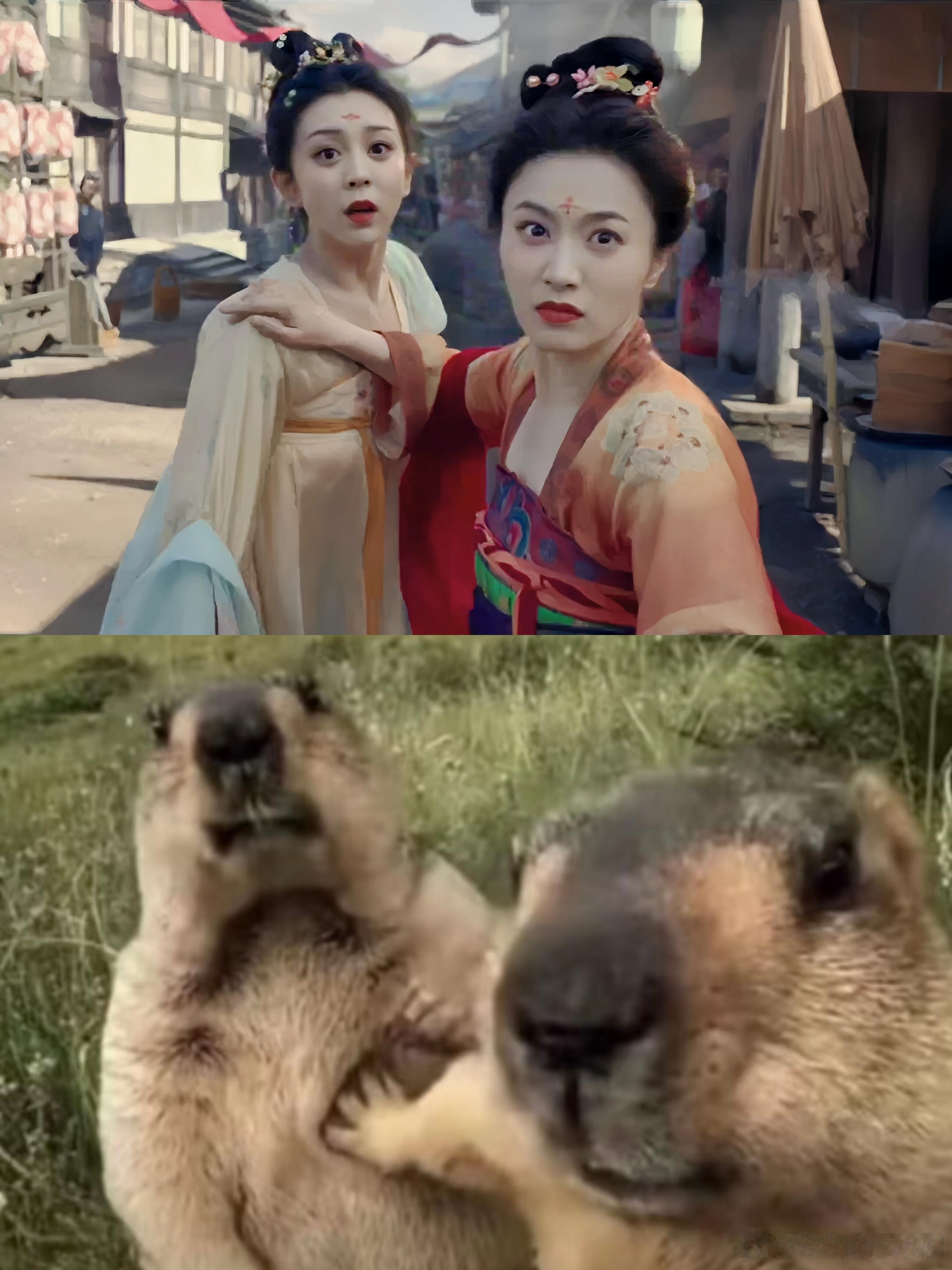 唐朝诡事录[超话]这届网友什么图都能找到樱桃和喜君和这两个土拨鼠真是太像了吧！唐