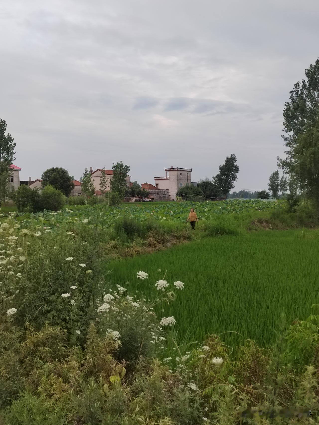 榜样，共振，共鸣，磁场，氛围，频率，频次，状态，练习量，能量，调整速度，清晰度，
