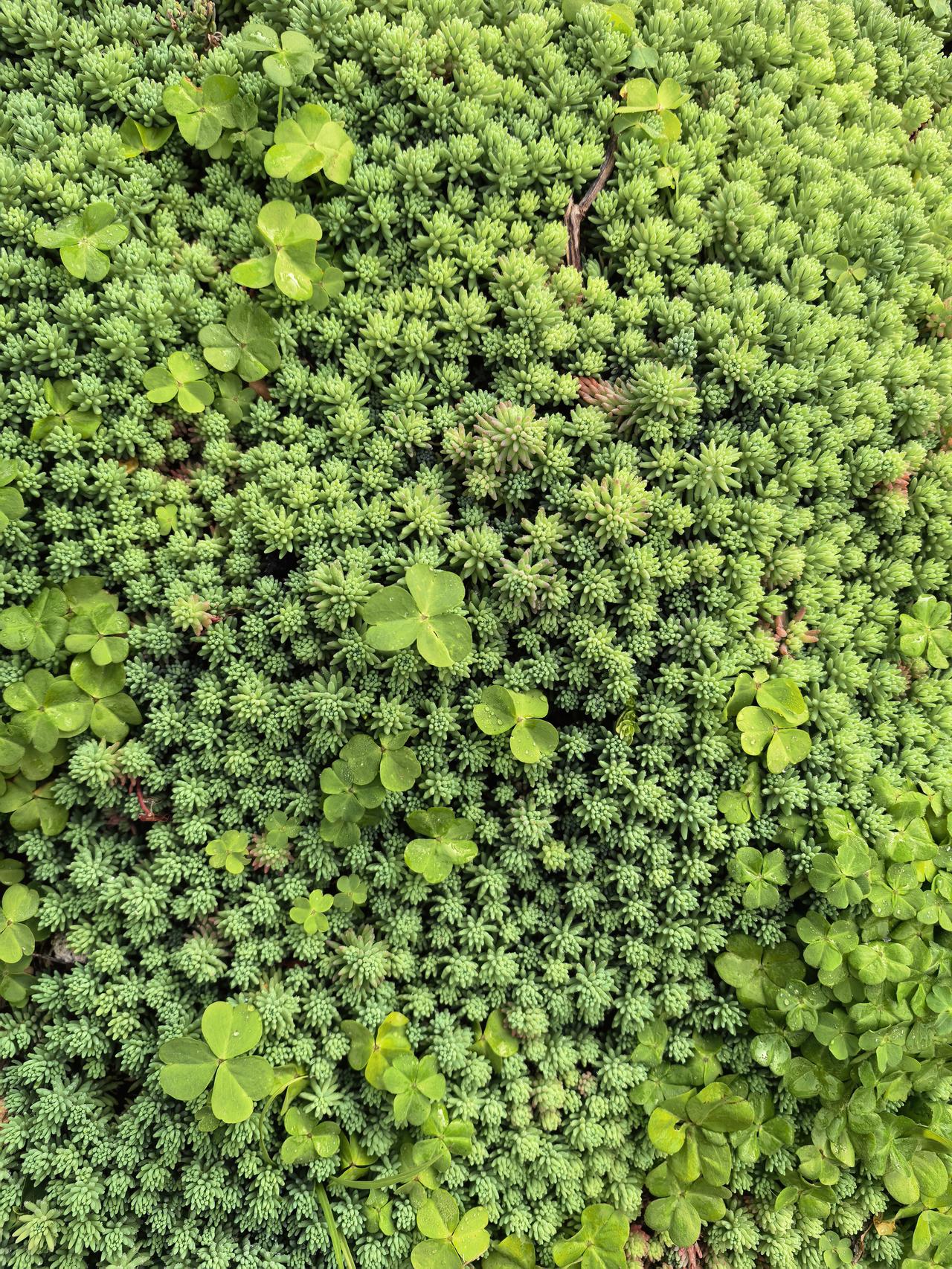 是10点钟开始上班吗？[呲牙][呲牙]
还是说今天元宵节放假一天？
今天除了油气