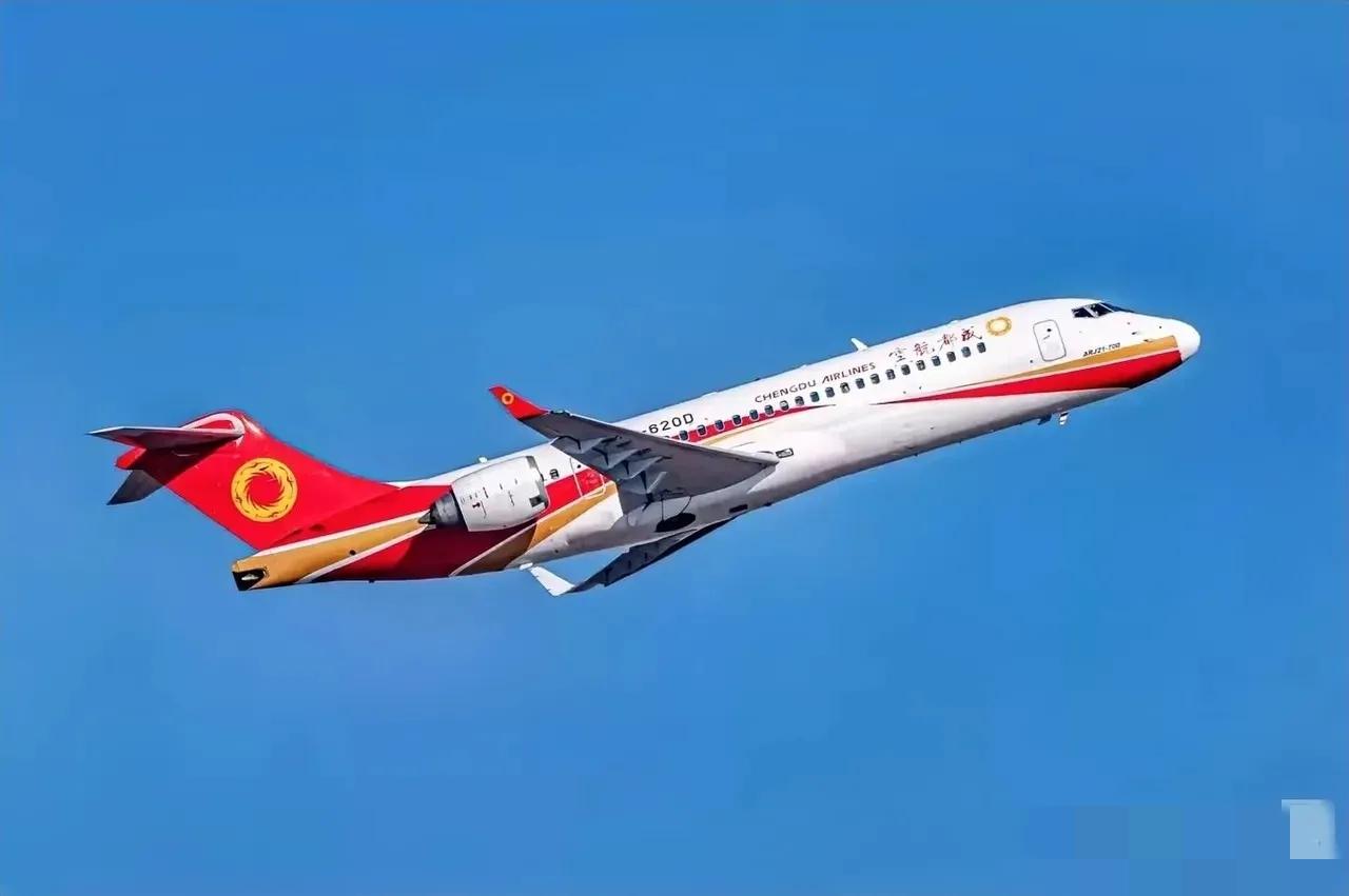 咱家的 C909，在越南飞了半年，租期一到，人家没续，飞机就这么飞回来了，很多人