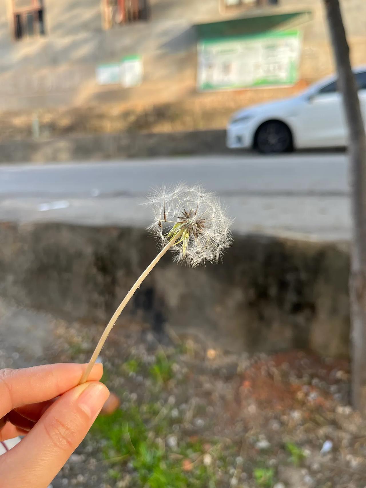 忙碌了一天躺床上，回想这几年发生的很多很多事，就像一场梦，现在的自己就是个机器，
