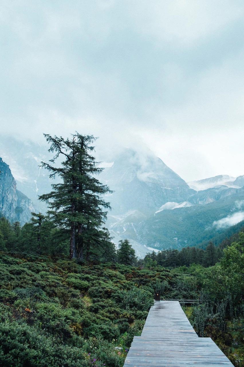 昨天跟一个学生家长聊天，学生家长说，孩子学的迷迷糊糊的，因为学校的老师比较年轻，