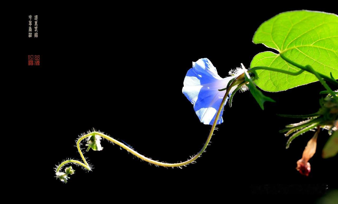 “松、沉、平、开”四个字，治好了我十年的“太极拳僵硬病”

有段时间我特郁闷：架