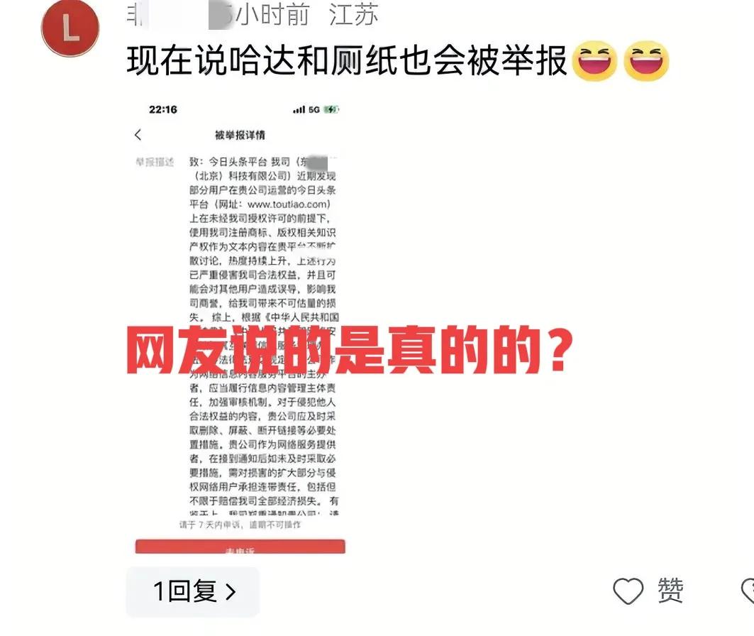 怎么回事，没有实名，打了马赛克，也没有商标，更没有攻击性语言，选选是如何投诉成功