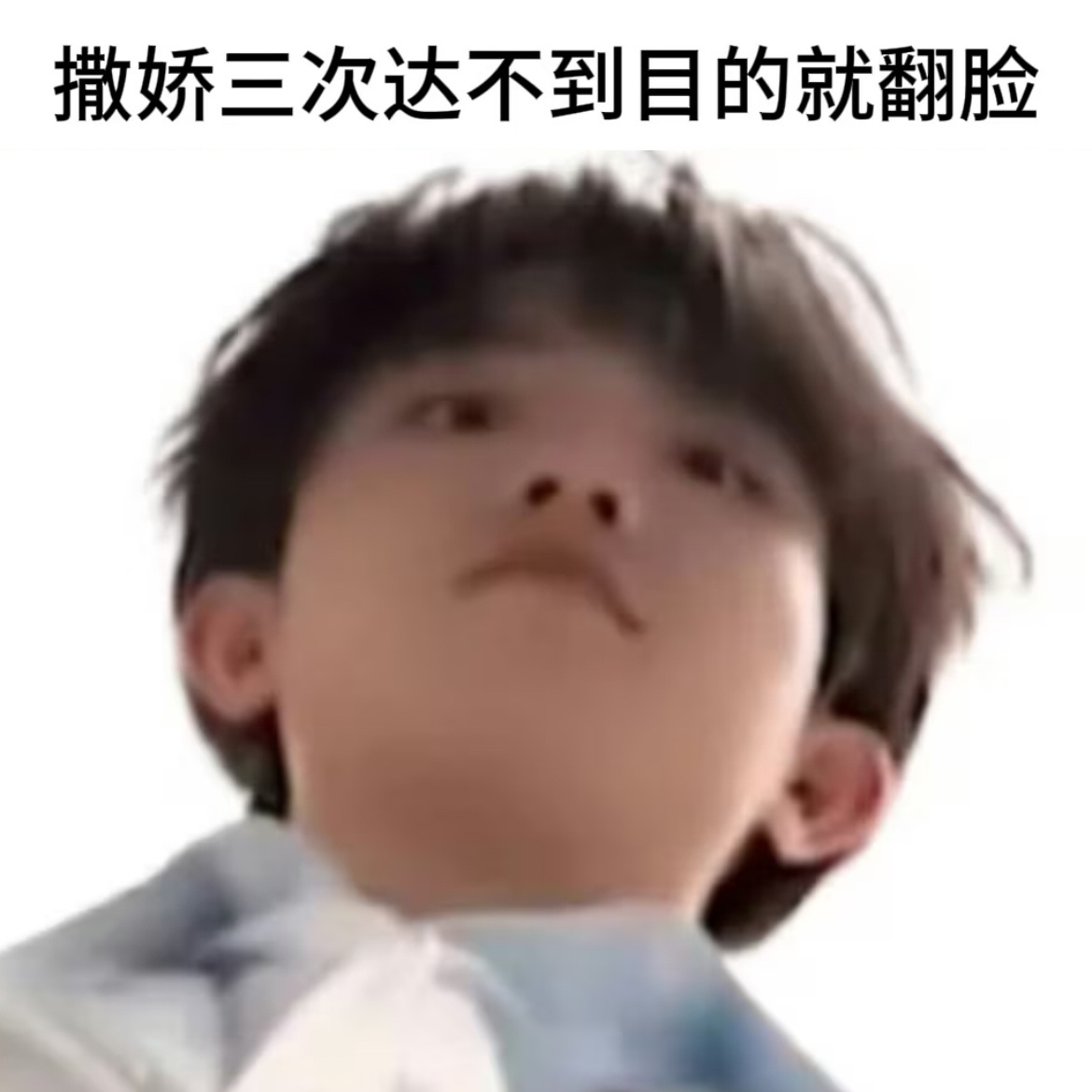 【5242】小饼不好惹（凶狠）！！！😋 