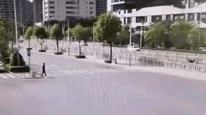 这个视频，承包了我一天的笑点，碰瓷的动作居然也能这么优美。
      这个碰瓷