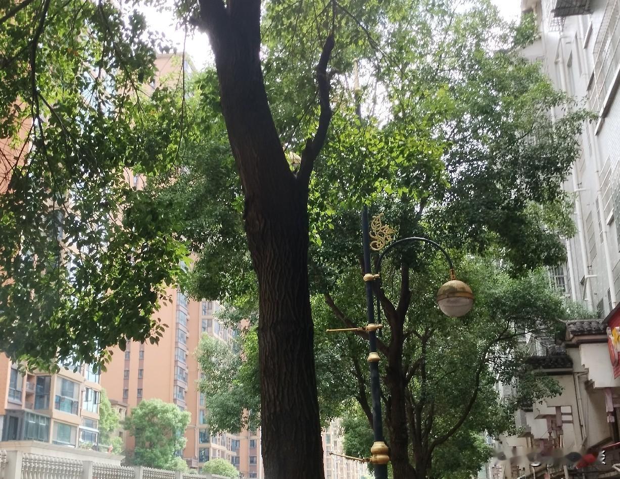 好的故事，才能吸引读者
 
这段时间在头条刷到很多AI生成的长篇故事片，几十分钟