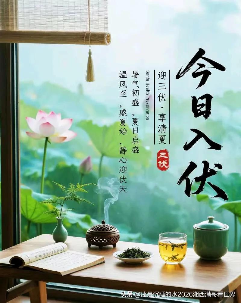 热！热！热！入伏第一天，38℃起步，最高温还在路上！
酷暑难耐啊，躲在空调房或者