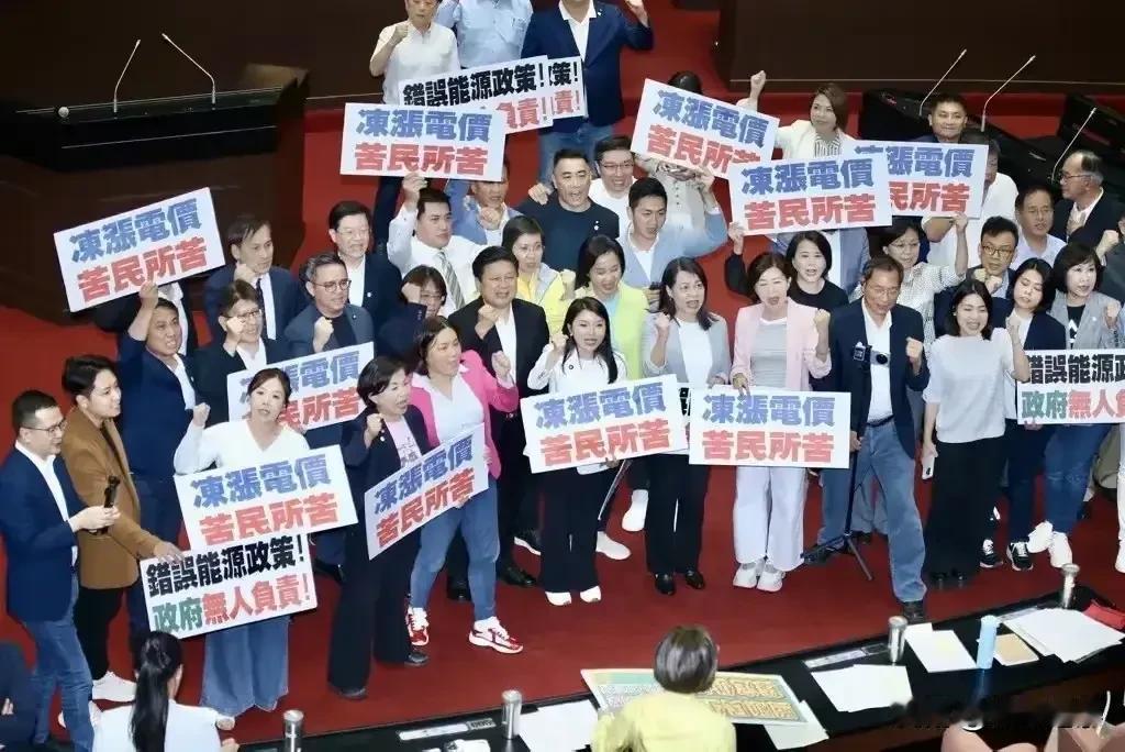 从阻止电价涨价看台民众如何限制台当局！
    最近台湾民众很关注的一则民生消息