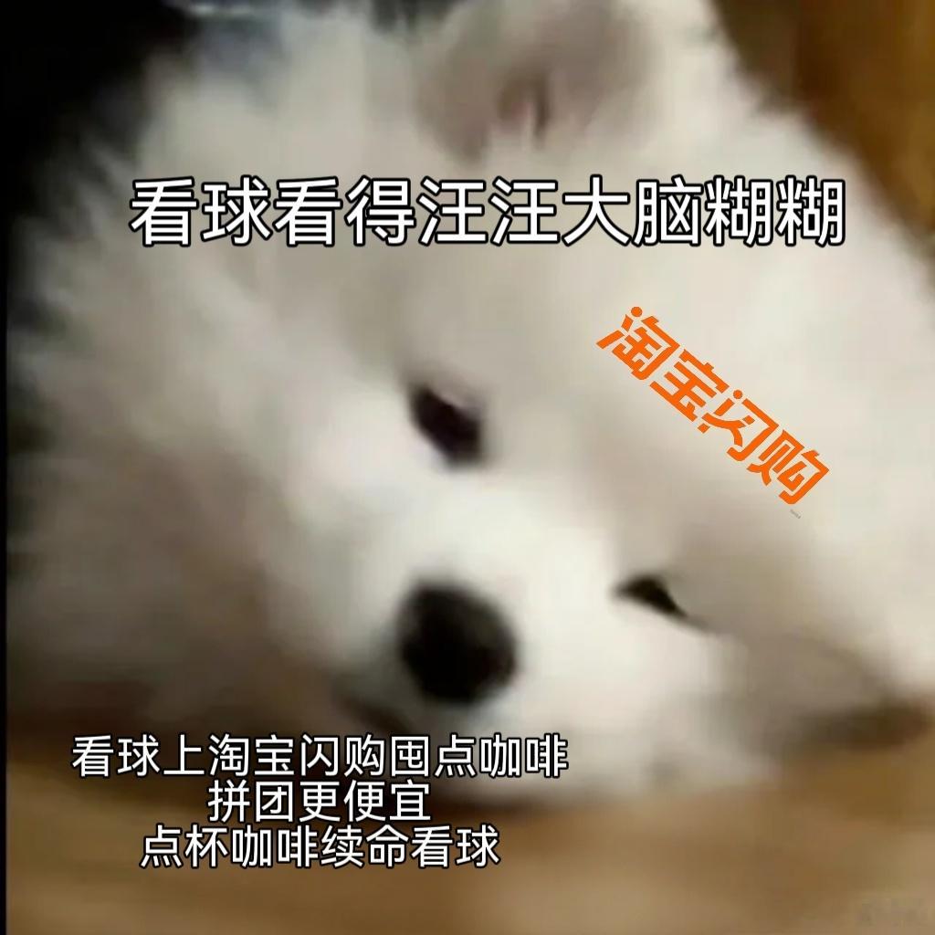 在家看球开局五分钟就迎来进球，看得直呼过瘾！立刻拉上朋友一起，淘宝闪购搜【大力省