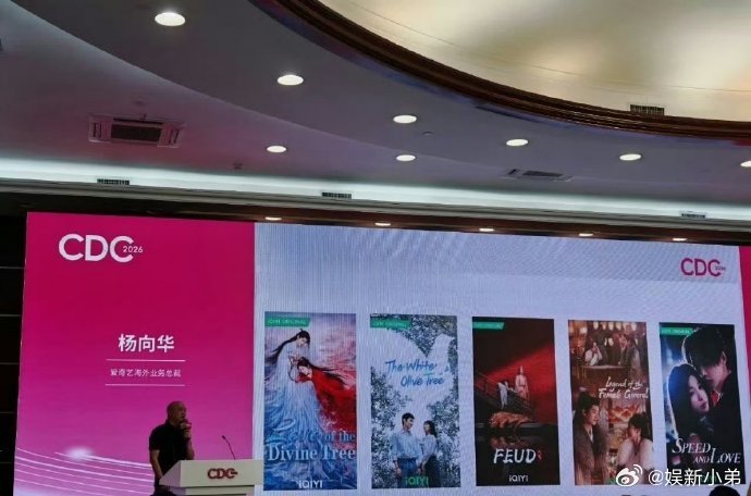 2025年的在🥝平台海外播放量排名在前十的剧集:爱你、白日梵星、一笑随歌、朝雪