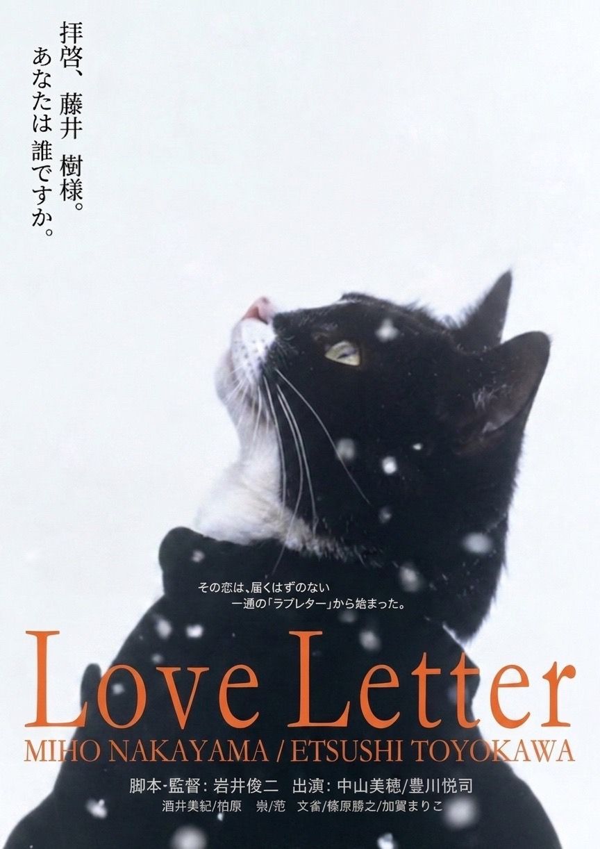 Cat Letter 