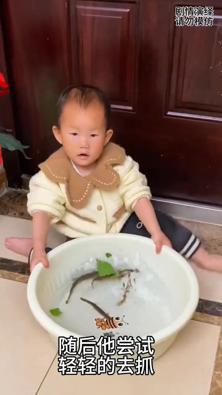 宝宝坐在地上抓盆里的泥鳅，这一幕真的太搞笑了。
宝宝坐在地上玩盆里的泥鳅，只见他