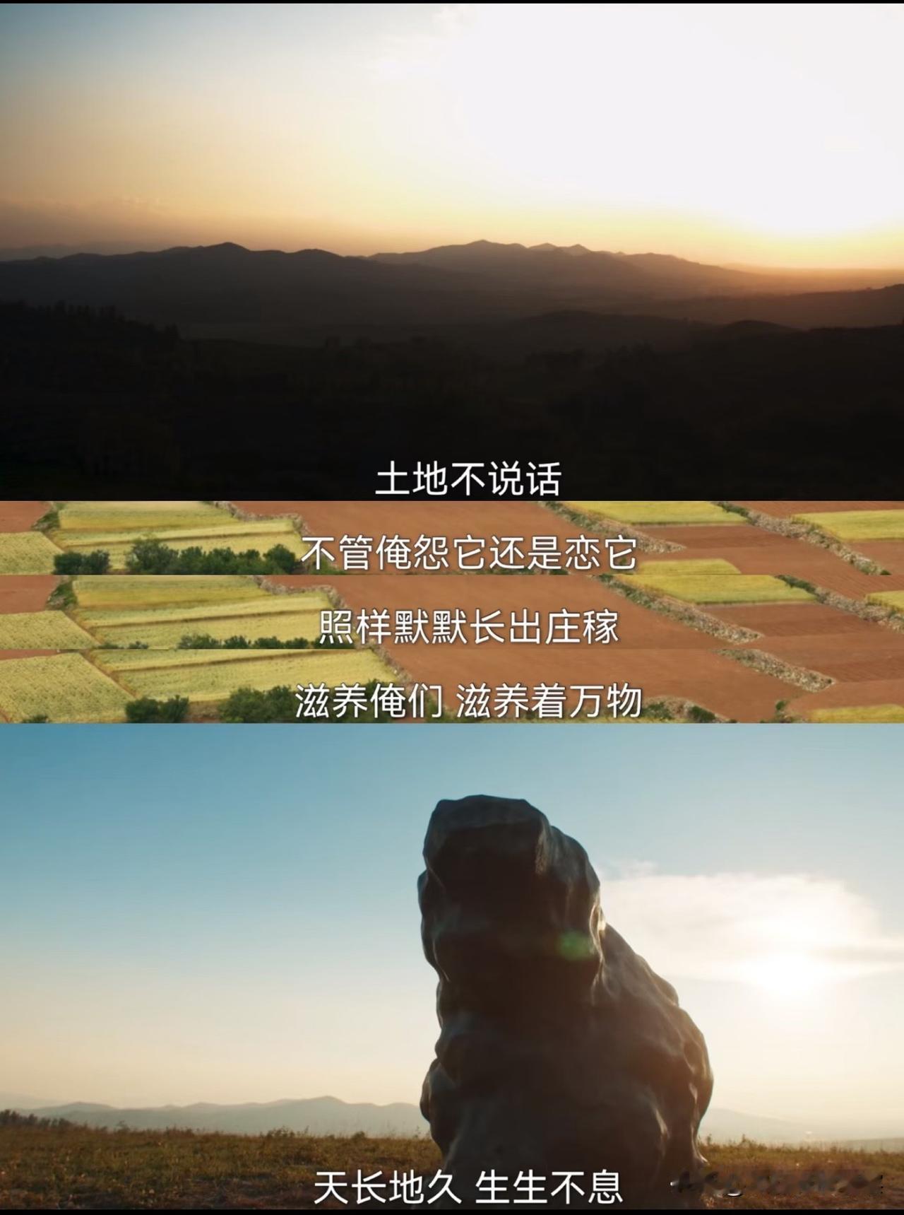 愿五谷丰登，天下太平！