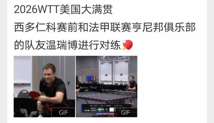 幸好西多仁科是法甲俱乐部的队员，要是德甲的，你们乒丝又刚好可以把西多仁科赢球的原