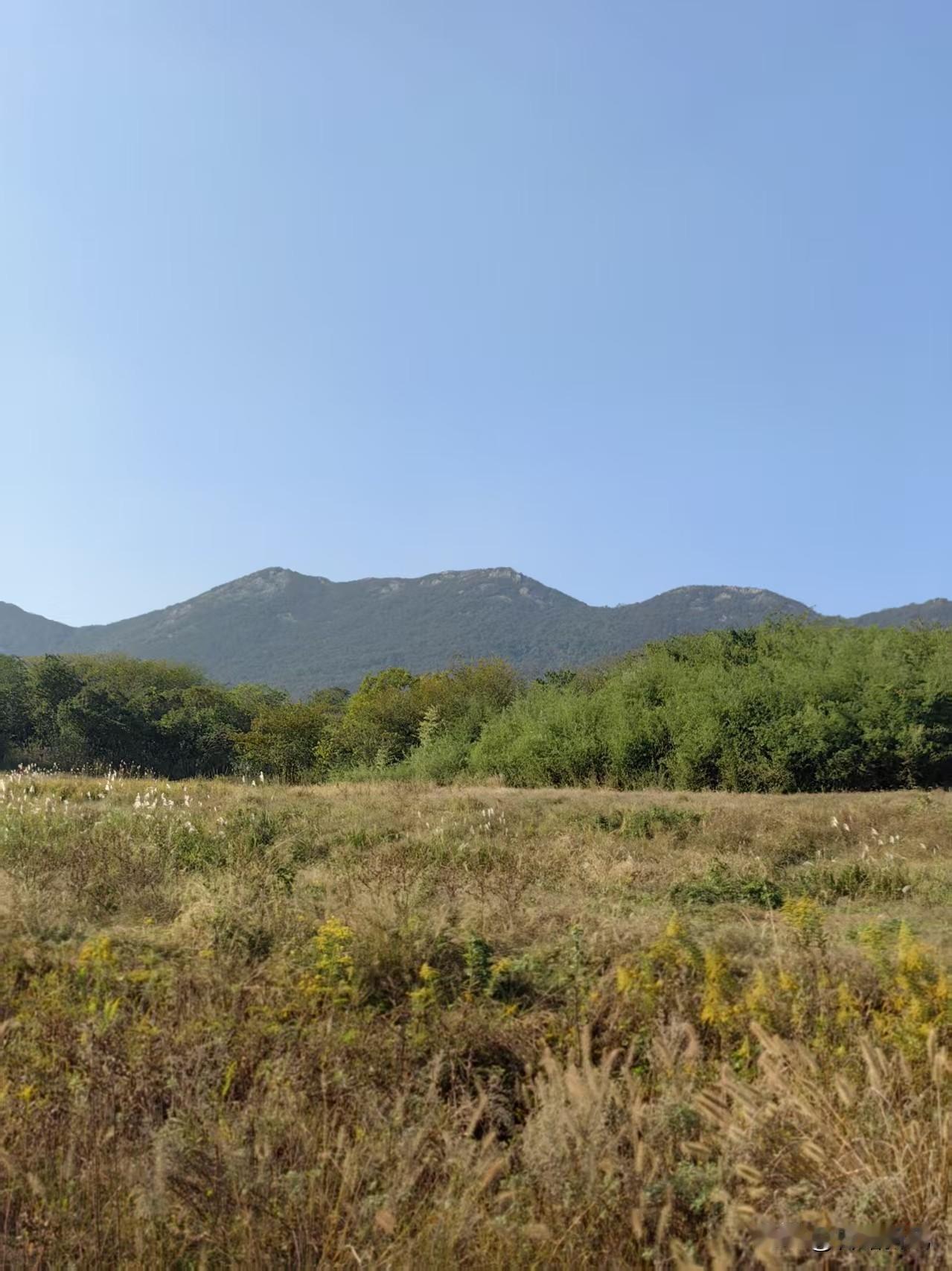 苏南第一虐！镇江这座野山火了
在镇江句容，有一座山悄然火遍户外圈，它就是高骊山，