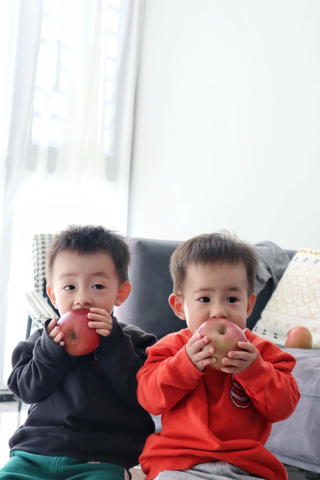 双胞胎宝宝超爱吃的苹果分享！🍎