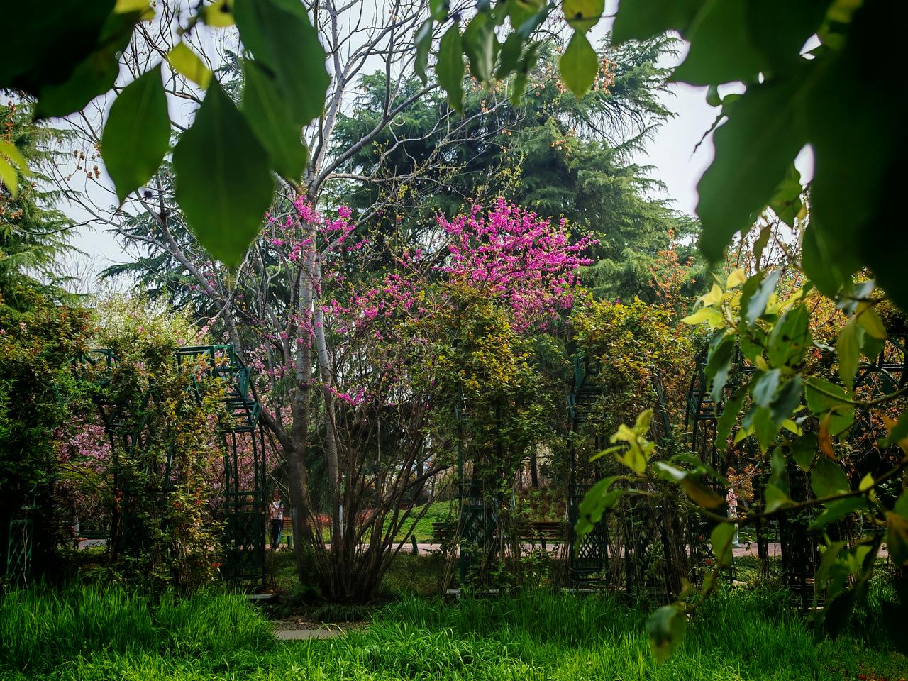 美好时光，莫失莫忘