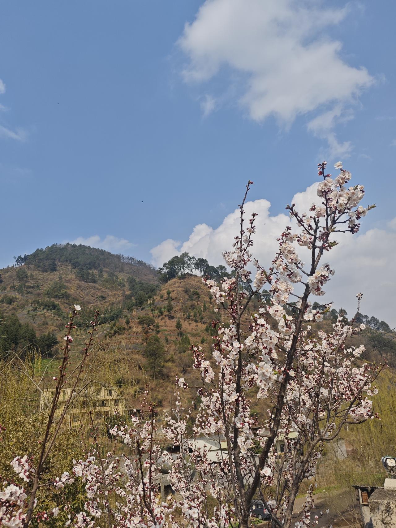 春日暖阳明如镜，大地春回万物苏。卸下沉重的冬装，着一身运动衣，去山间，去大地，去