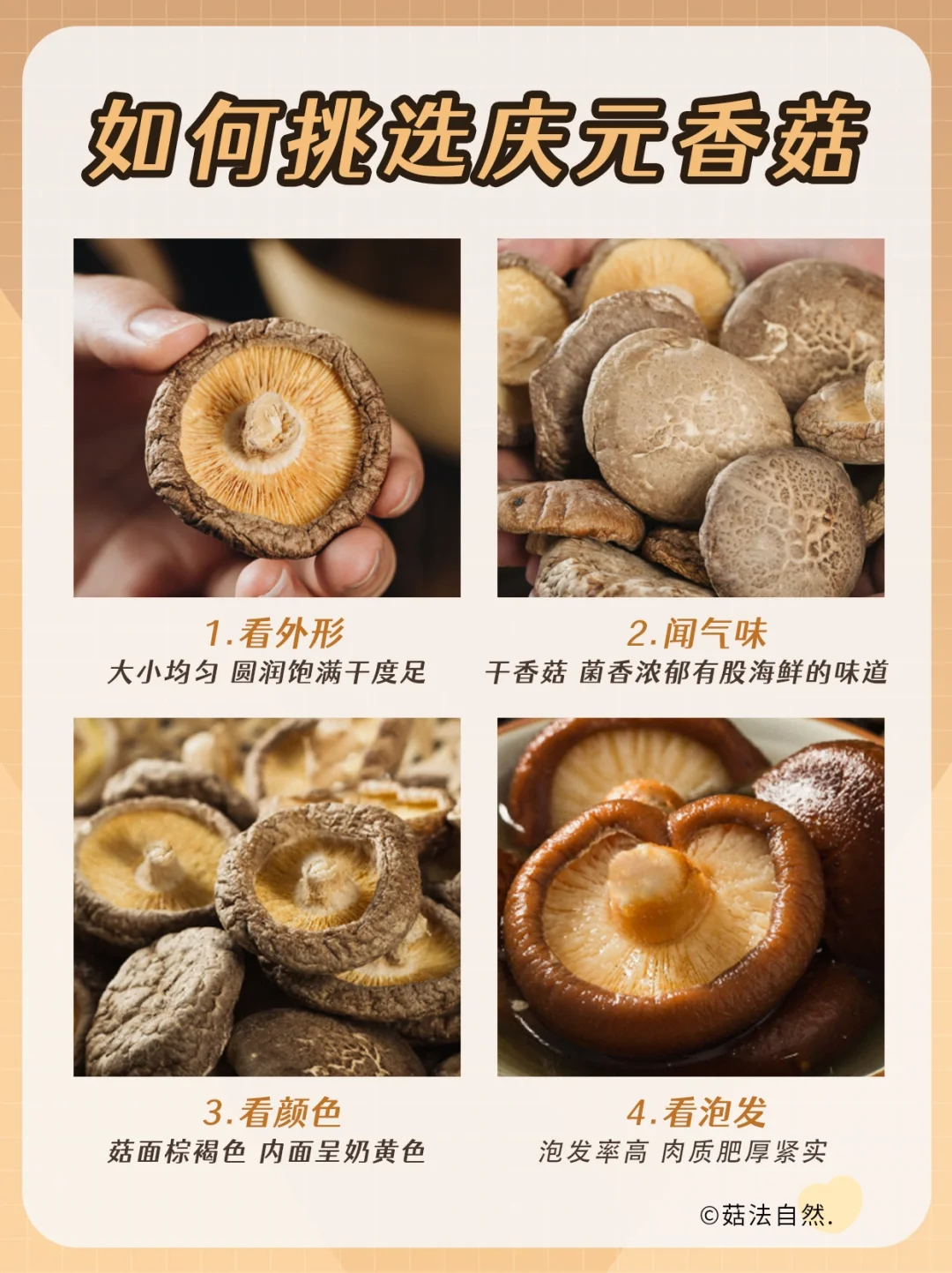 ✅如何挑选正宗庆元香菇❗️建议点赞收藏👍