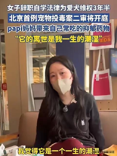 北京首例宠物中毒刑事公诉案将宣判，这起案件历经一审二审，案件几起几伏搅动了整个社