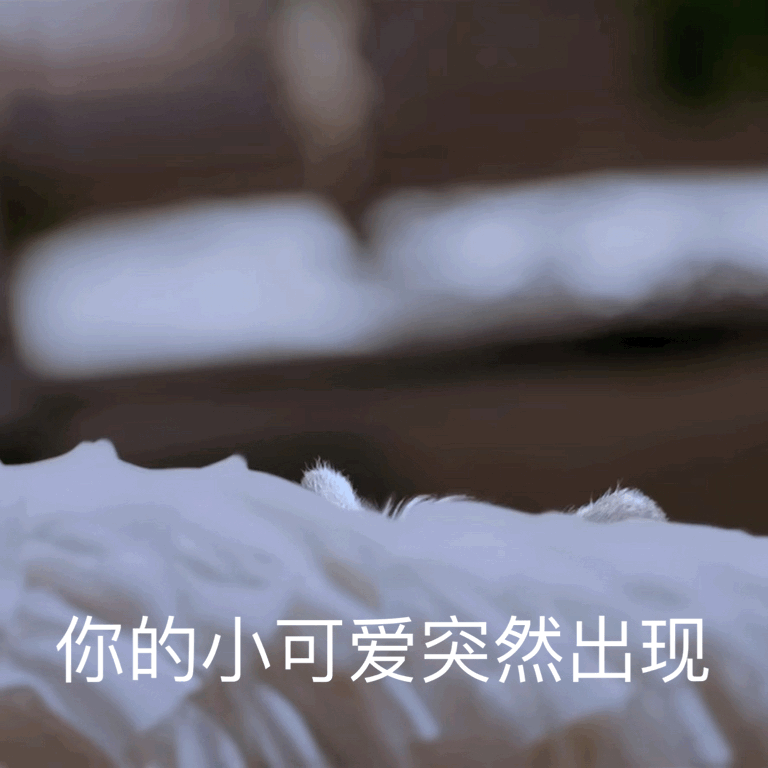 准备好了 