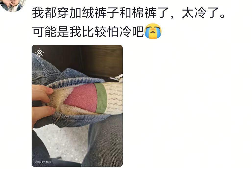 已经到了穿秋裤不用人催的年纪了 ​​​