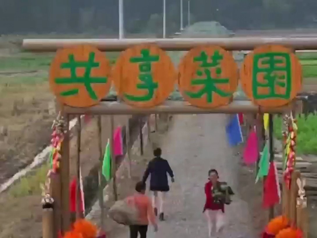 #打工人周末涌入共享菜园当农民#这些年啊，角色都转变了，以前农民种地，现在不少人