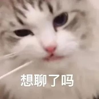 能用很久的表情包 ​​​