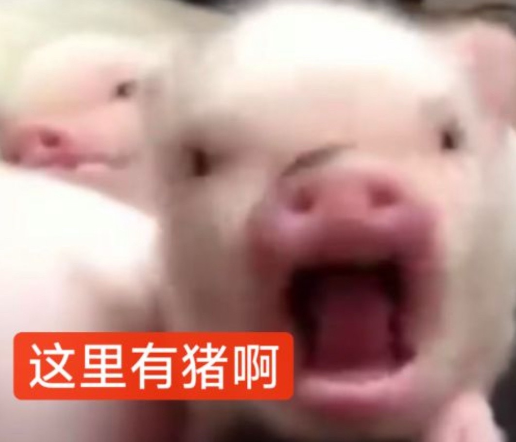 一模一样 