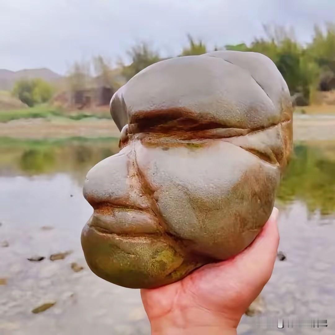 有没有懂行的，这块石头能卖多少钱啊？