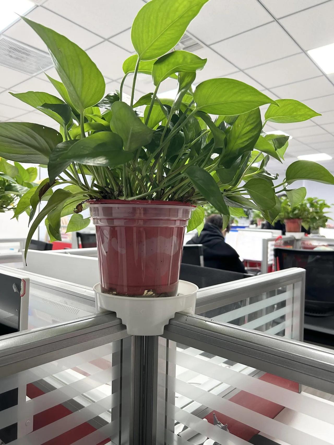 感觉电销全是这样的工位