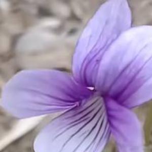 每个人的生命中都会遇到遂自己所愿，珍惜每一份缘分，珍惜每一份相遇，既相遇，必相惜