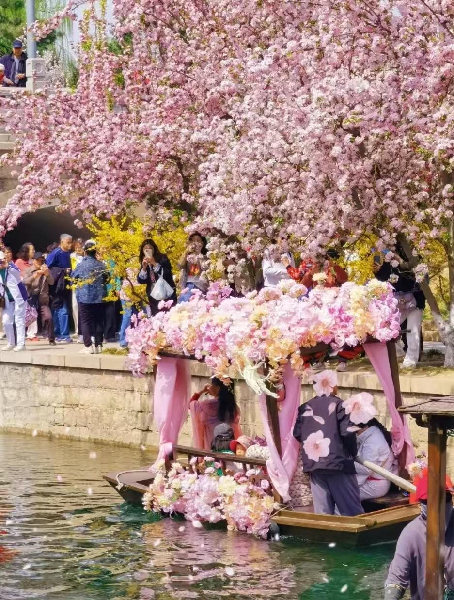 清明假期必打卡春天的浪漫！10000株海棠开成梦幻花海！
元大都城垣遗址公园56