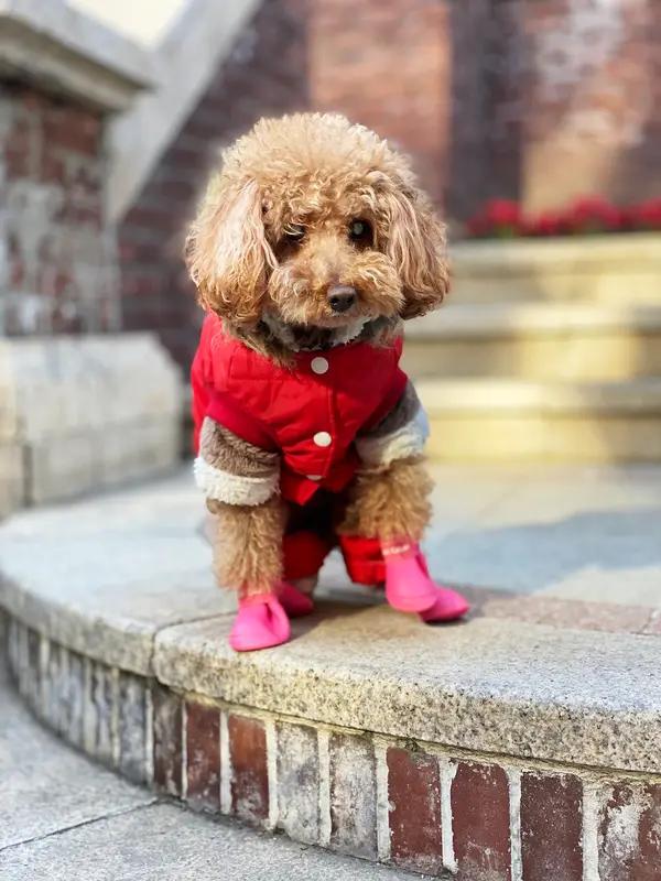 “走开”用你的家乡话怎么说滚远点儿。