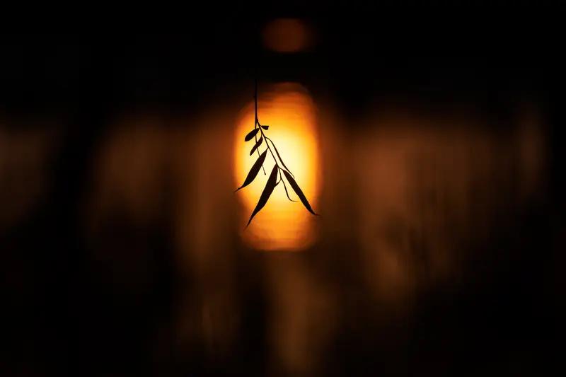 新春这波回暖简直“疯”了，中东部暖热直逼巅峰，2月暖出4、5月的水平，华北、黄淮