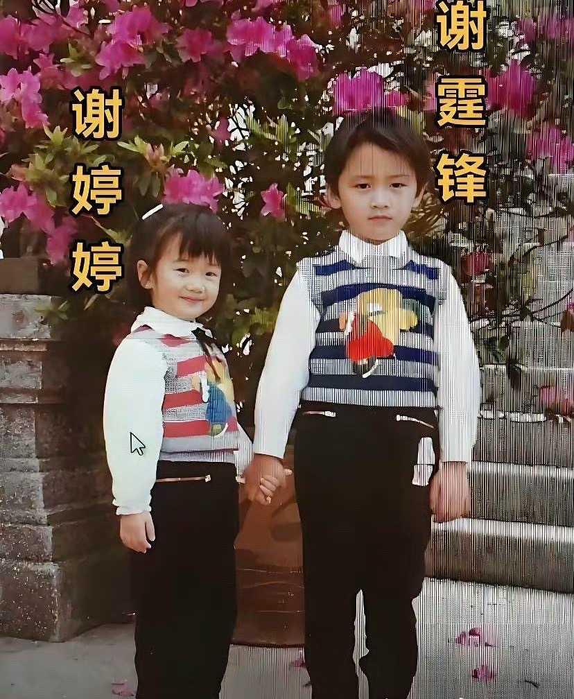 谢霆锋和谢婷婷小时候的合照，真的能看出基因真是一门玄学；哥哥像妈妈，妹妹像爸爸
